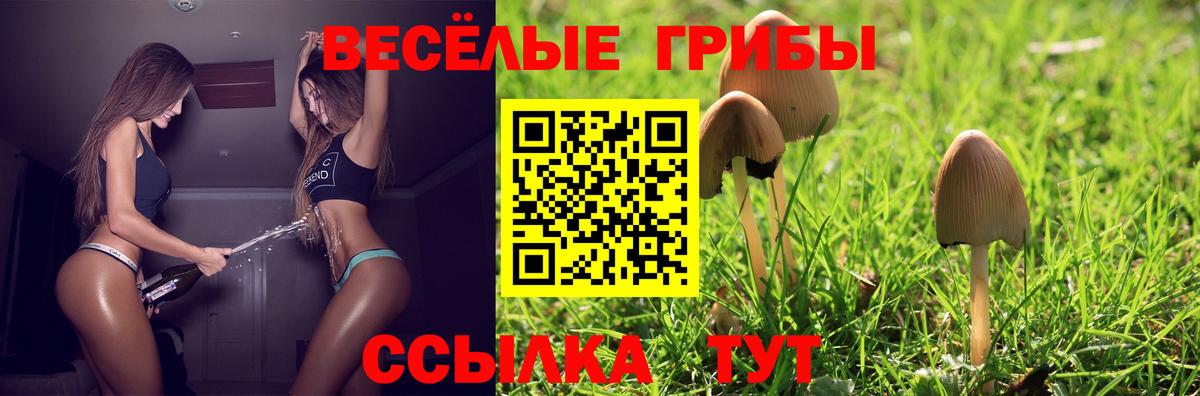 Галлюциногенные грибы ЛСД  Вход с VPN  Красноуфимск 